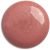Praline Rose